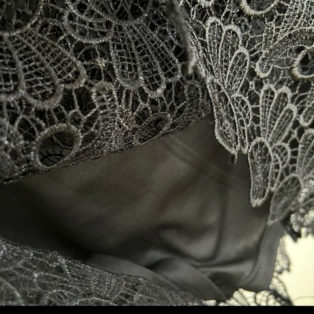 C1 Dressbarn Lace Dress - Picture 3 of 8